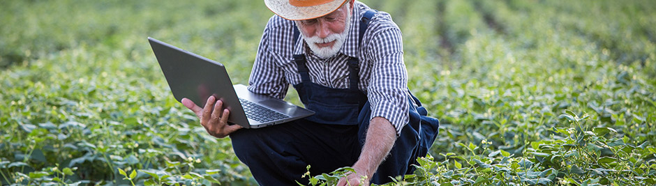 Farmer in field with a laptop