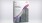 success-pingan-securities-strengthens success-pingan-securities-strengthens
