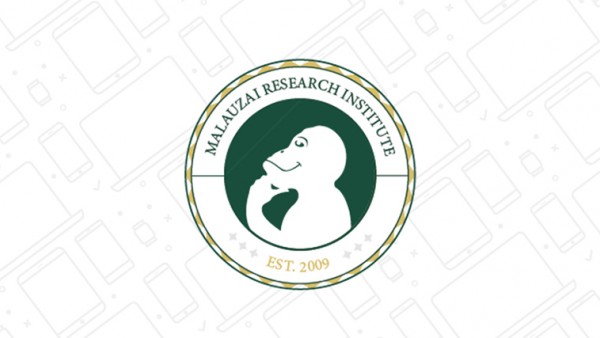 Monkey Insights Monkey Insights