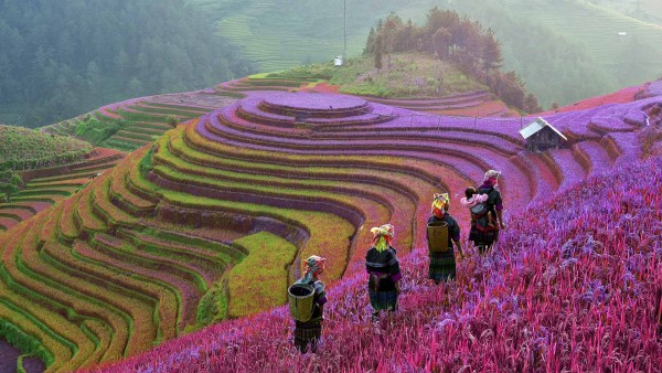 The power of fintech: Reaching far corners The power of fintech: Reaching far corners