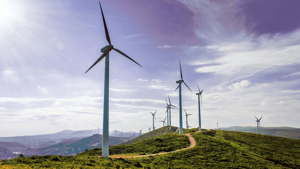 Climate change: why balance sheets need to be green Wind farm