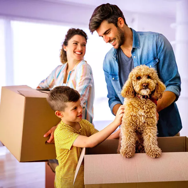 Image of family and a dog with boxes