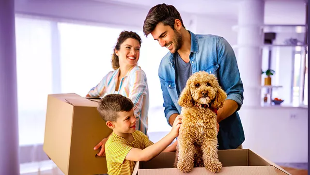 Image of family and a dog with boxes