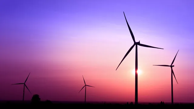 Image of field with windmills at sunset