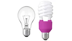 lightbulb-shutterstock_124108660-Fuchsia_.jpg