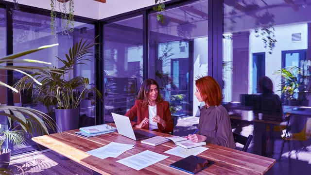 Two busy business women of young and middle age talking in creative green office sitting at desk. Professional ladies employee and manager having conversation using laptop at work. Candid photo.
