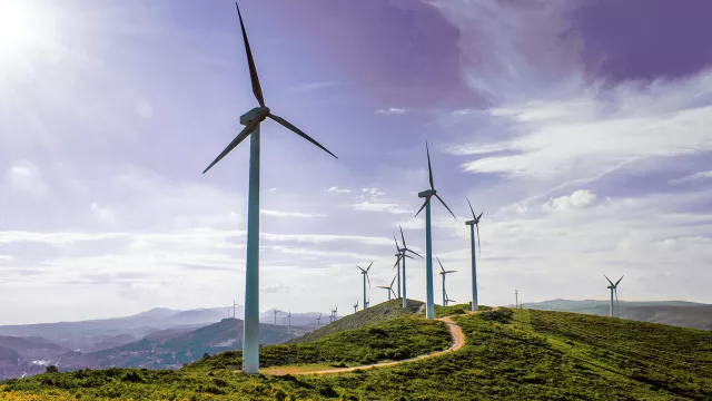Wind farm