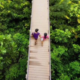 Couple hiking on a bridge
