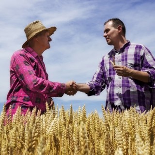 Farmer shaking hands with another guy