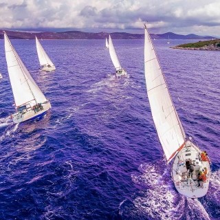 Image of yachts at sea