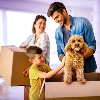 Image of family and a dog with boxes