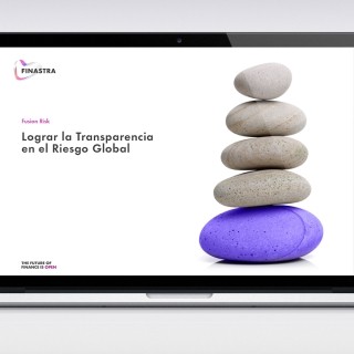 Achieving Global Risk Transparency (Brochure) [Spanish]