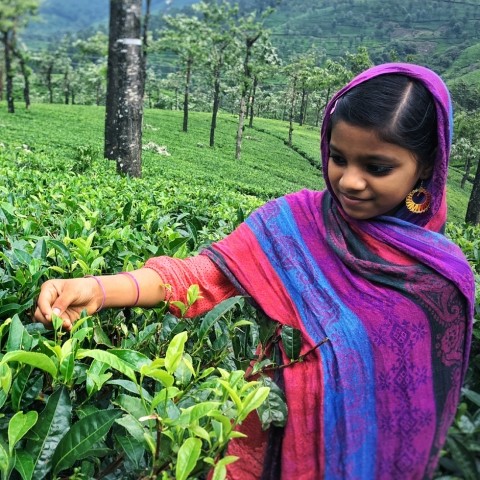 girl picking crops in sari