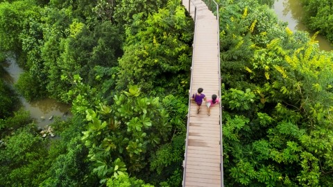 Couple walking on wooden path