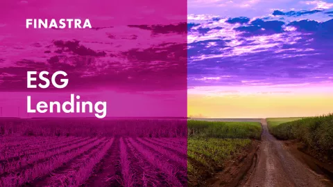 Road by growing crops