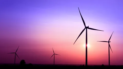 Image of field with windmills at sunset