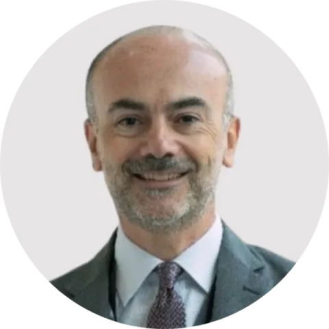 Domenico Nardelli