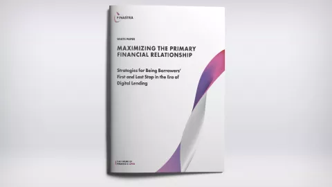 Maximizing the Primary Financial Relationship