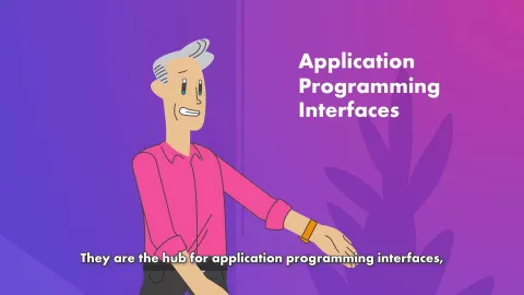What is an API?