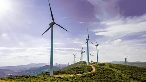 Wind farm